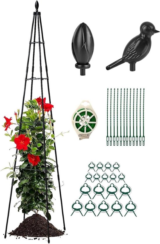 Tuinlatwerk - Klimplantsteun - Planten Ondersteunen - In Hoogte Verstelbaar - 160 cm - Zwart