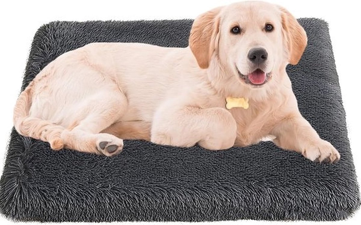 Grote Orthopedische Hondenkussen, Verwijderbare en Wasbare Hondenslaapplaats, Antislip Onderkant, Bijt- en Krabbestendig, Geschikt voor Katten, Grijs (L 100 x W 60 x H 8 cm)
