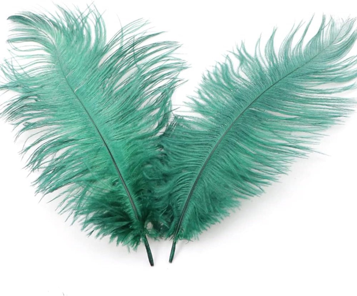 SnelShoppen - 10 Stuks 20-25 cm Natuurlijke Struisvogelveren Boeketveren voor Creatief Gebruik, DIY Dromenvanger Accessoires, Hu decoratie, Kostuums,