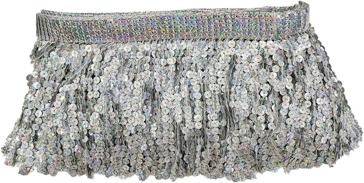 SnelShoppen - 5m Zilveren Sequins Kwastjes Shiny Kwast Trim DIY Kwast Knutselaccessoires Kledingaccessoires voor Naaiwerk, Feest en Kostuums