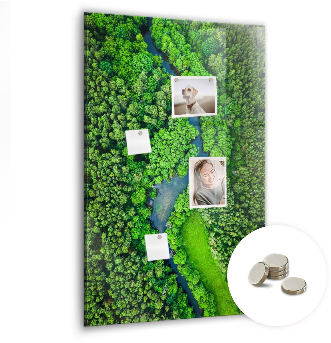 Coloray Glazen Magneetbord - Magnetisch Bord Inspirerend citaat - 60x90 cm - Groente Magneetbord - Magnetic Board - Woonkamer Decoratie