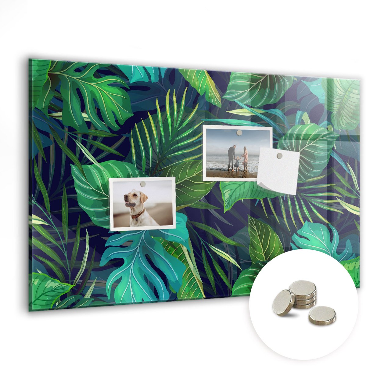 Coloray Glazen Magneetbord - Magnetisch Bord Exotische bladeren - 60x40 cm - Groente Magneetbord - Magnetic Board - Bureau Decoratie