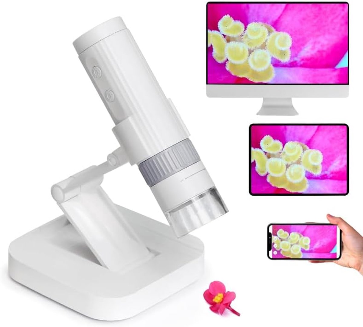 Bobypet - Digitale USB Microscoop voor Kinderen & Volwassenen - 50X-1000X Vergroting - Draadloze Wifi Zakmicroscoop met 1080P HD Camera, 8 Regelbare LED's en Statief - Wit