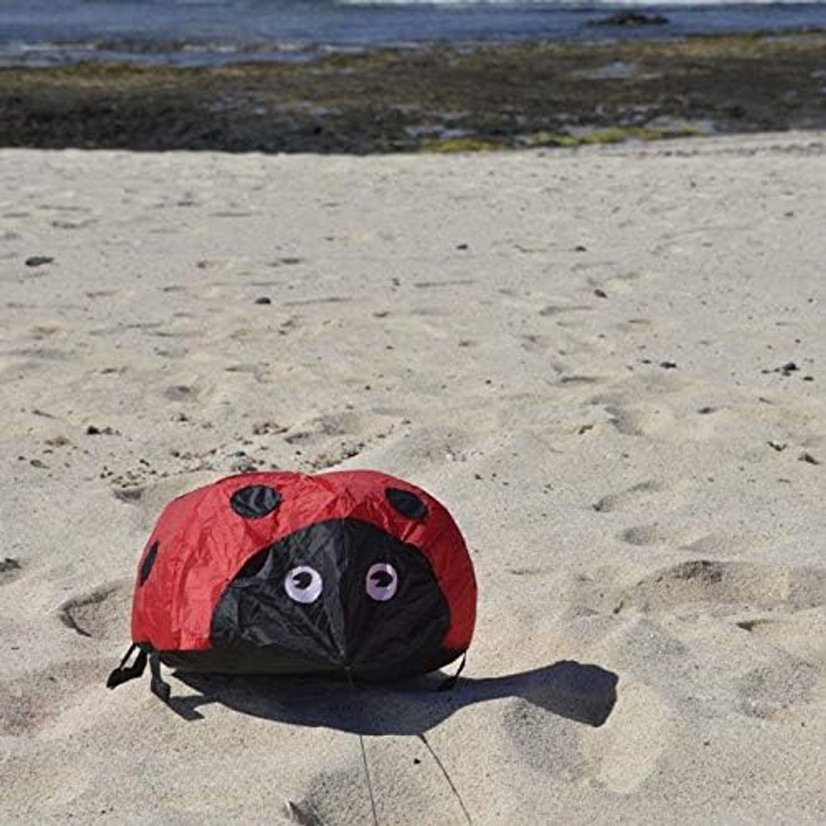 Windsack ladybug - kleurrijk ontwerp - weerbestendig - vrolijke decoratie voor tuin - SnelShoppen