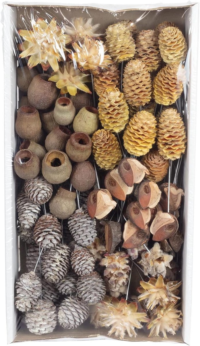 Leuco aan draad - 100 stuks - natuur