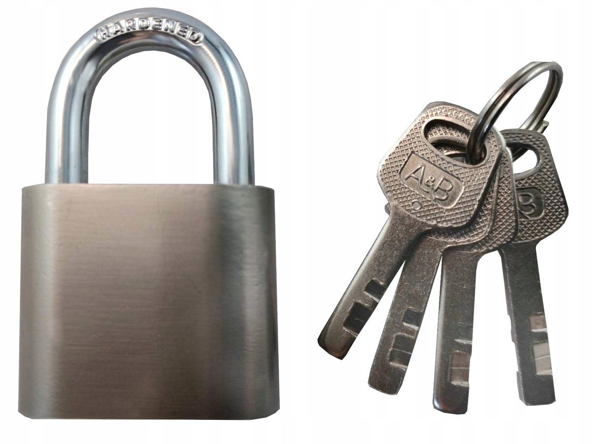 Verstevigd Stalen Hangslot met 4 Sleutels, Zilverkleurig