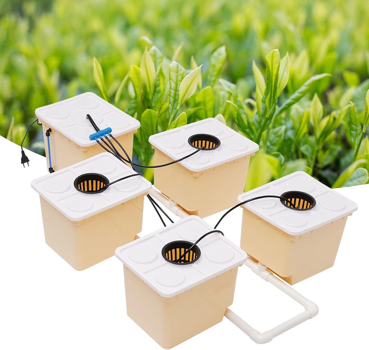5 emmers, hydrocultuur-kweeksysteem, 11 liter, hydrocultuur-kweeksysteem, kweeksysteem, bouwpakket voor hydrocultuur, tuin, balkon, planten, groenten