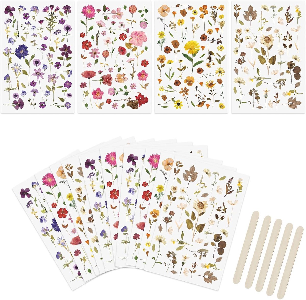 Rub on transfer stickers 16 vellen - droogbloemen thema - transparant en waterproof - perfect voor scrapbooken - ShopVlot