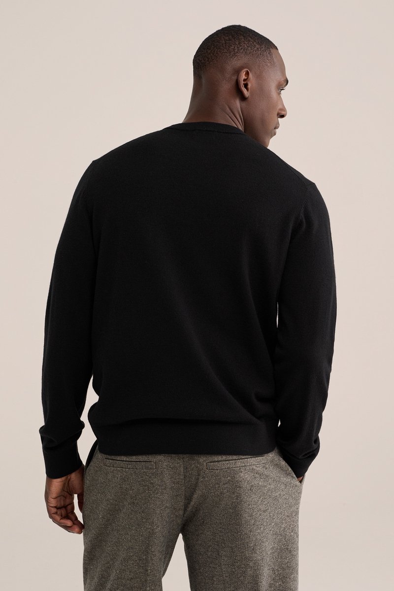 WE Fashion Heren regular fit trui van merinowol