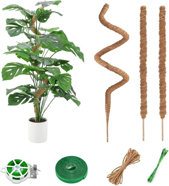 Klimplantsteun 3-delig - Vouwbare kokosnoot houder - Inclusief jute touw en bevestigingen - ShopVlot