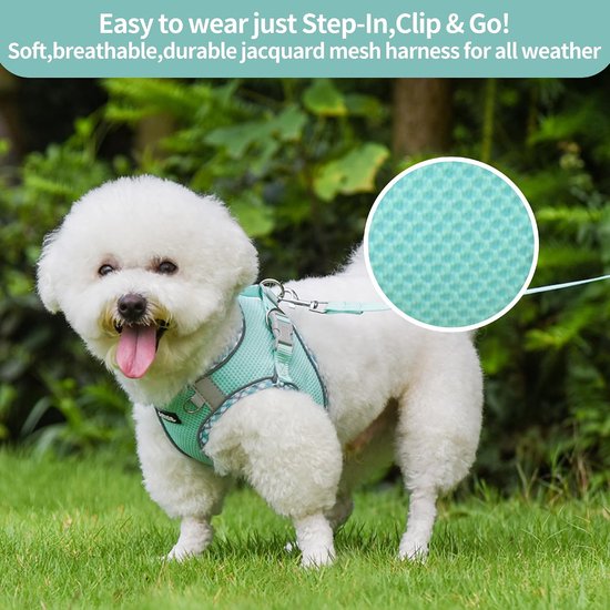 Klein hondentuigje, lichtgewicht mesh-instapvest voor puppy's, reflecterend, ontsnappingsbestendig ontwerp met Velcro, voor binnen en buiten, voor chihuahua, maltees, shih tzu (turkoois, XXXS) van klein — afbeelding 4