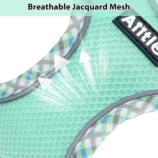 Klein hondentuigje, lichtgewicht mesh-instapvest voor puppy's, reflecterend, ontsnappingsbestendig ontwerp met Velcro, voor binnen en buiten, voor chihuahua, maltees, shih tzu (turkoois, XXXS) van klein — afbeelding 3