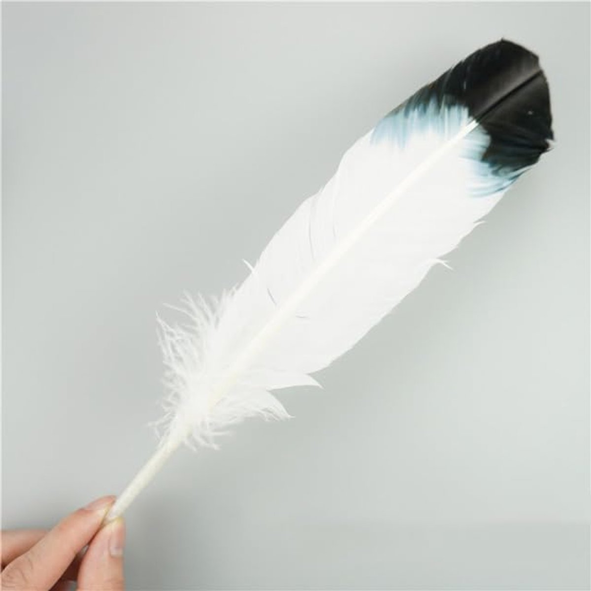 10 Stks/partij Natuurlijke Adelaar Veren Voor Ambachten Pluim Hoofdtooi Accessoires Vakantie Decoratie Carnaval Veer Diy Handwerk Decor