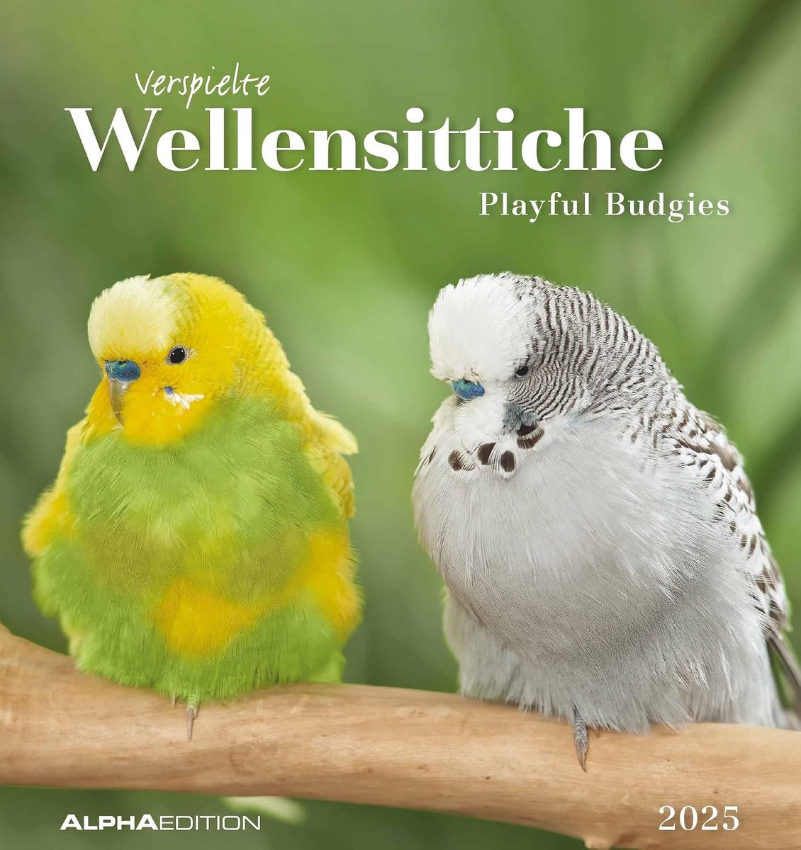 Postkartenkalender Wellensittiche 2025 - 16x17cm - Met Heraustrenbare Postkaarten - SnelShoppen