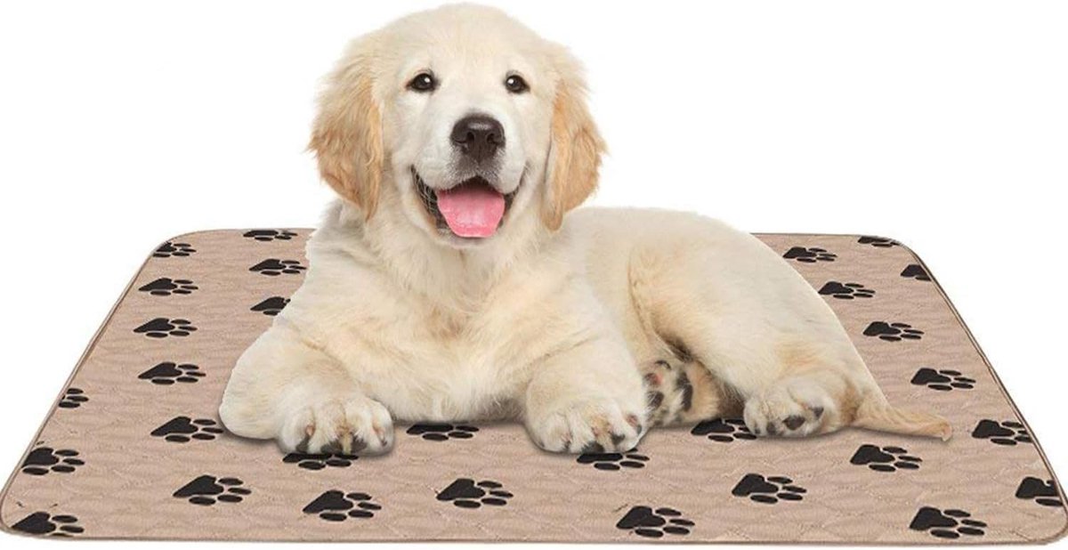 Incontinentieonderlegger voor Honden, 4-Laags Absorberend, Waterdicht, 80 x 90 cm, Bruin, Puppy Trainingsmat