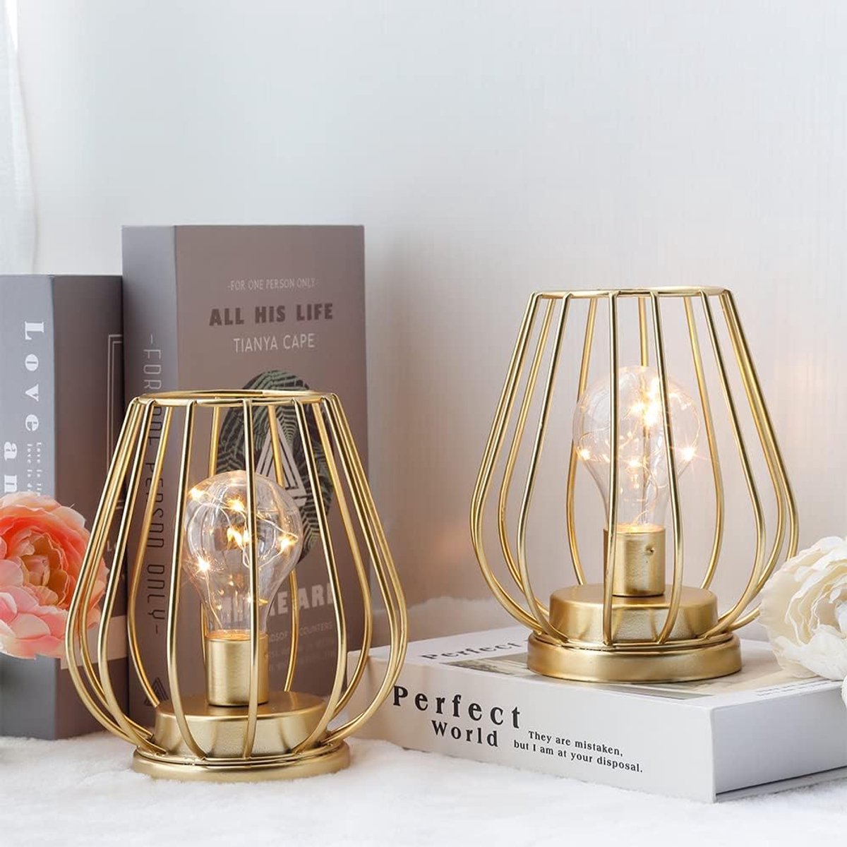 SnelShoppen - Set van 2 Metaal Batterij-Aangedreven Tafel Lampen 17cm Hoog Mini Kooi Vorm Draadloze Lantaarns met Warme Feeënverlichting Gloeilamp voo