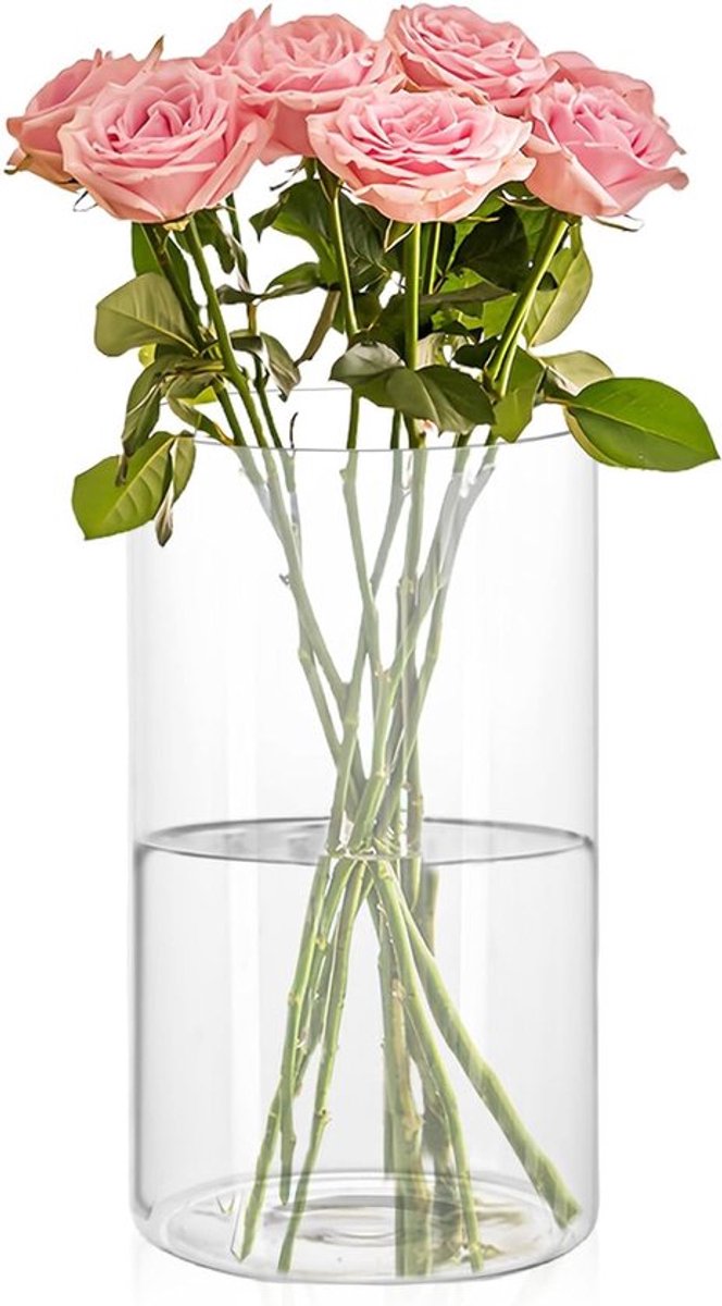 Minimalistische Glazen Vaasje voor Bloemen: Moderne Decoratie voor Tafel, Woonkamer, Slaapkamer en Bruiloften (30 x 10 cm)