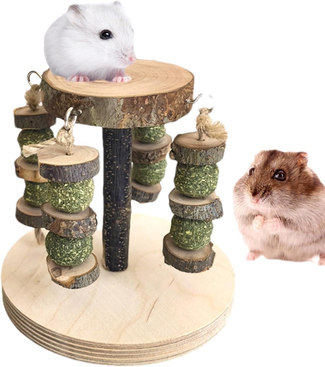 Hamster Knaagspeelgoed - Knaagblokken Kleine Dieren - Tandenknarsen Bevorderen - Fruitig Geurend Appelhout - 14x13 cm - Natuurlijk