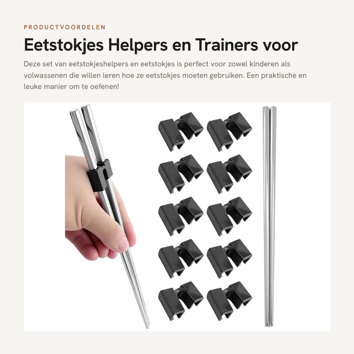 Dailygoods- Eetstokjes Set - 1 Paar Roestvrij Stalen Eetstokjes - 10 Eetstokjeshouders - Vaatwasserbestendig - Lichtgewicht - Duurzaam - Stokjeshouder