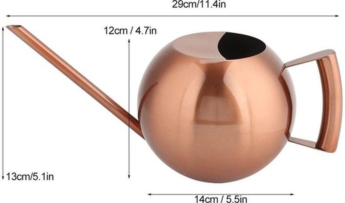 Gieter 1000 ml - Roestvrijstalen - Lange tuit - Ergonomische handgreep - Voor binnen - Voor kamerplanten - Plantenbewateringskan