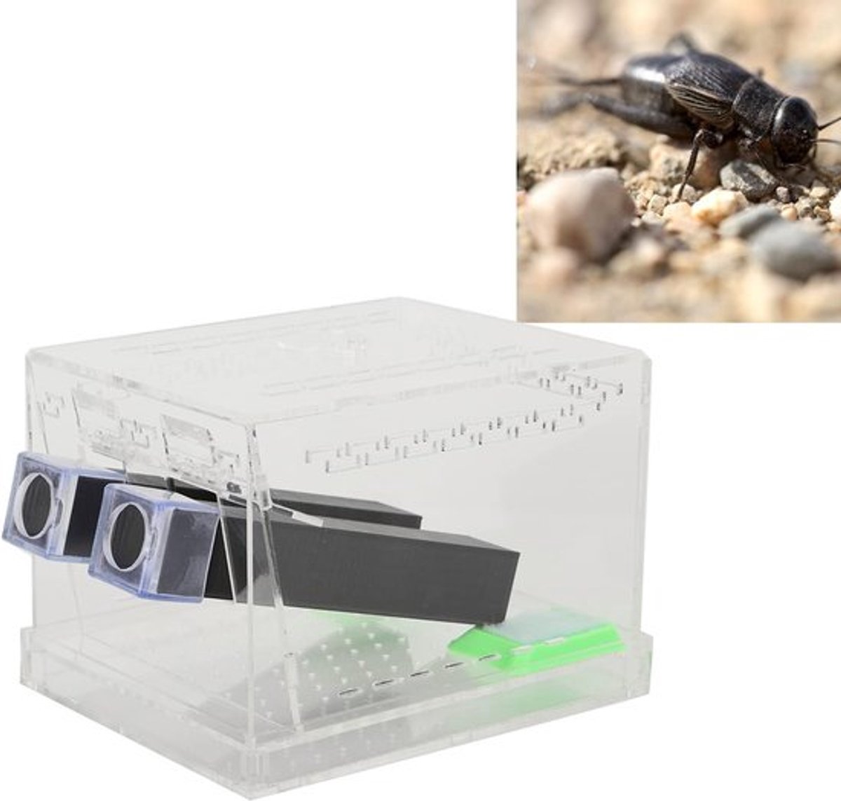 Complete Cricket Care Kit met Voeder- en Waterbak voor Insecten en Reptielen - Ideaal voor Thuis en Kantoor