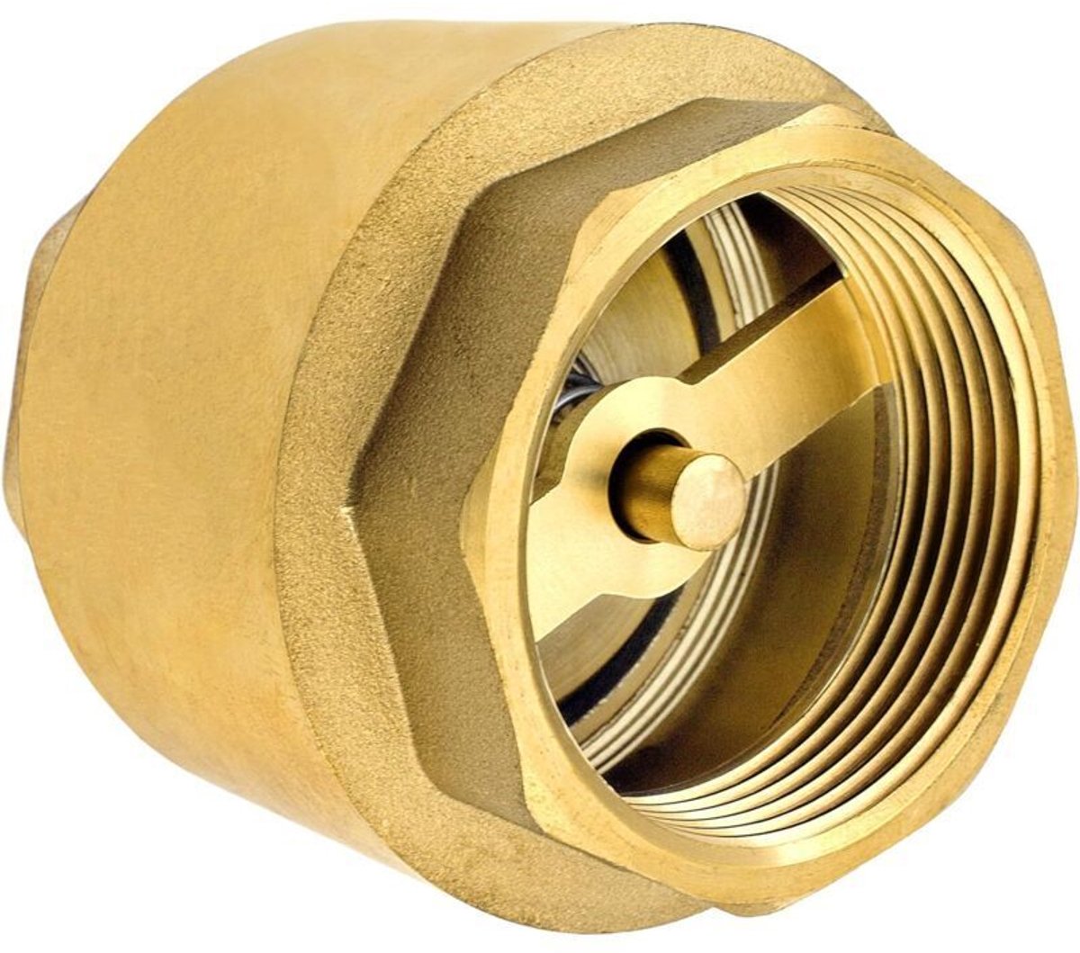 Hoogwaardige, roestvrije en lekvrije messing terugslagklep van 1/2 inch, geschikt voor waterpompen, fonteinen, wasmachines, tuinen, regenwateropvangsystemen of emmers.