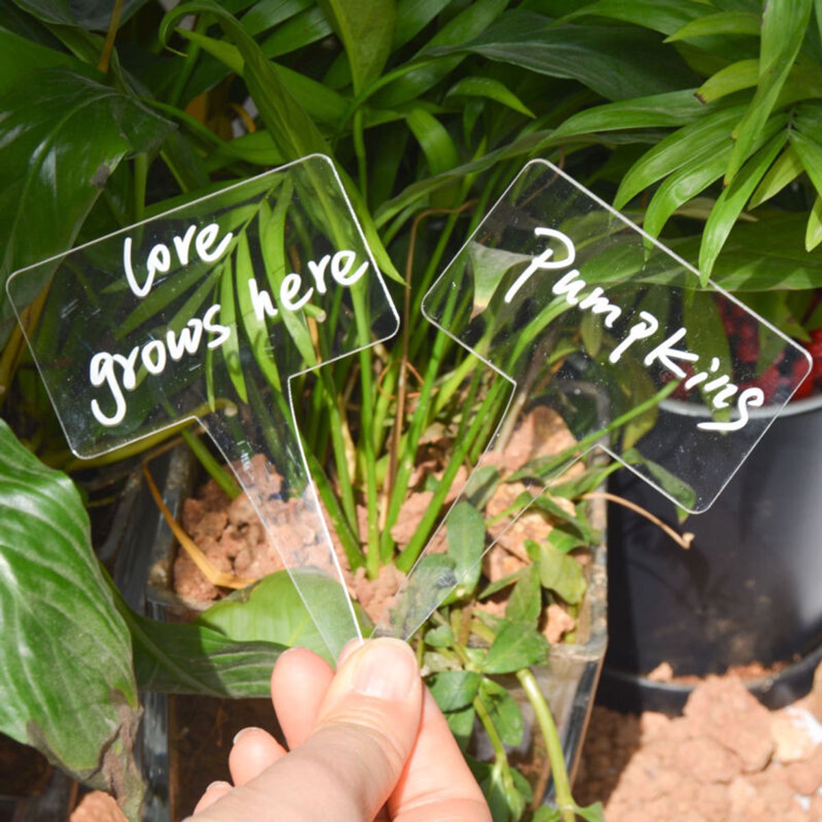 Een set van 12 rechthoekige plantenlabels - plastic labels, mini-plantenlabels, identificatiebordjes geschikt voor groenteplanten, insteeklabels geschikt voor in de tuin.