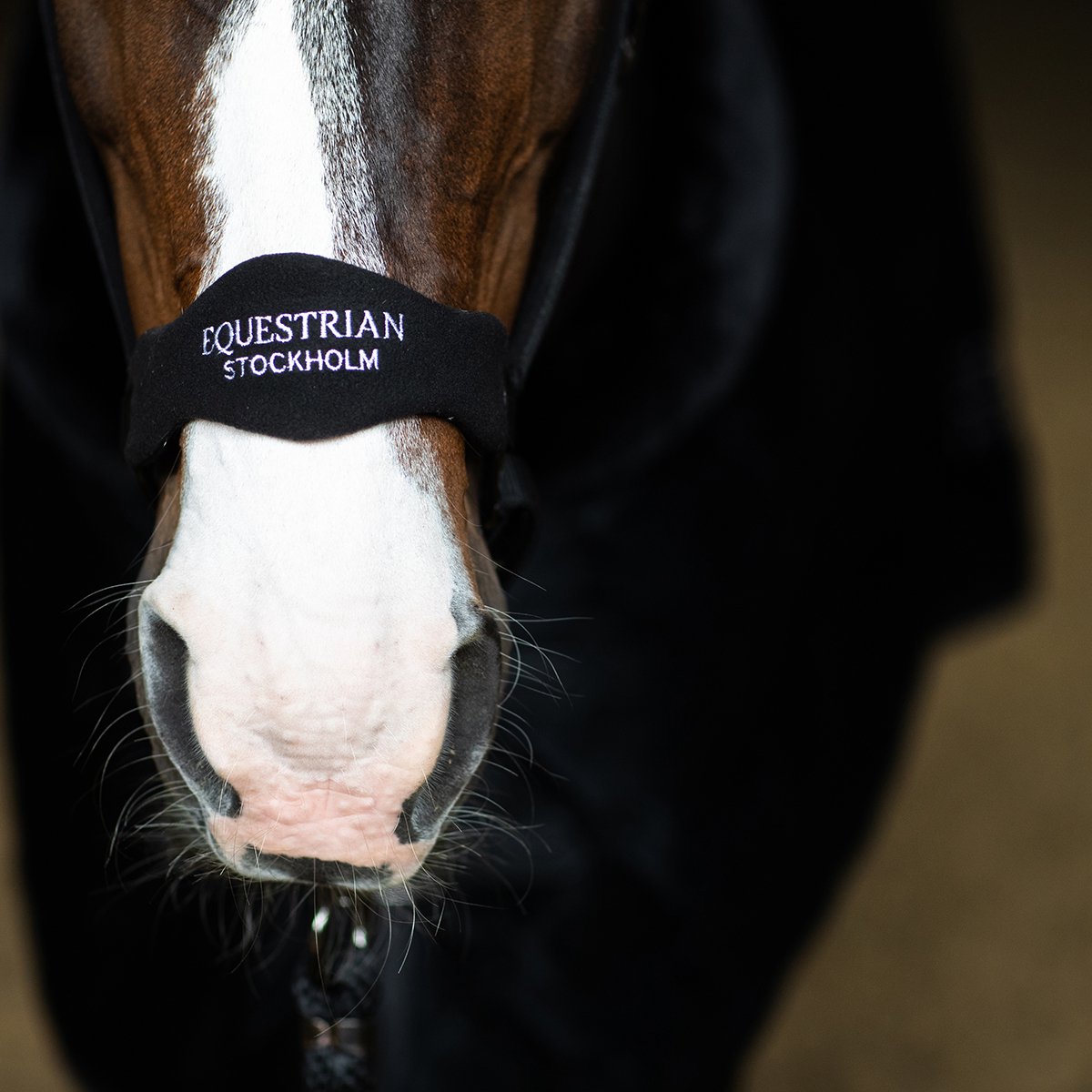 Equestrian Stockholm Halster Equestrian Stockholm Anatomic Black Zwart