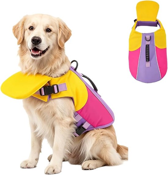 Golden retriever in paars, roze en geel zwemvest met vleugels en kinbescherming.