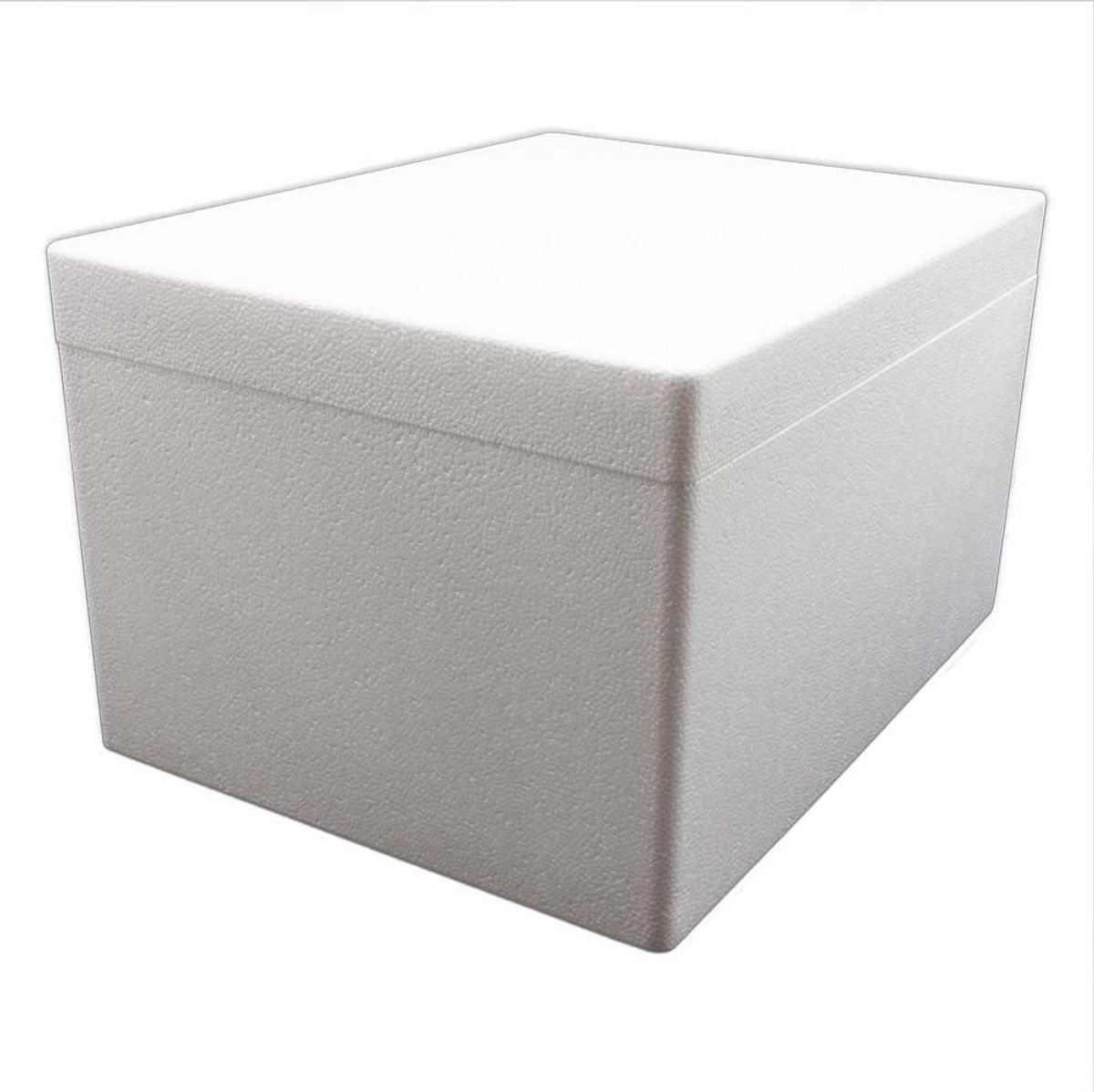 Isolatiebox - Thermobox Koelbox - Transport Bescherming - Goede Isolatie - 21 Liter - Wit