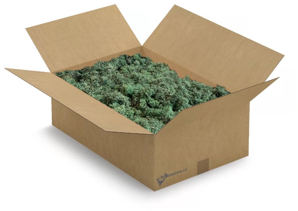 Moswens ECO mos - 3 KG - Doos XL - Forest 0,70 m²