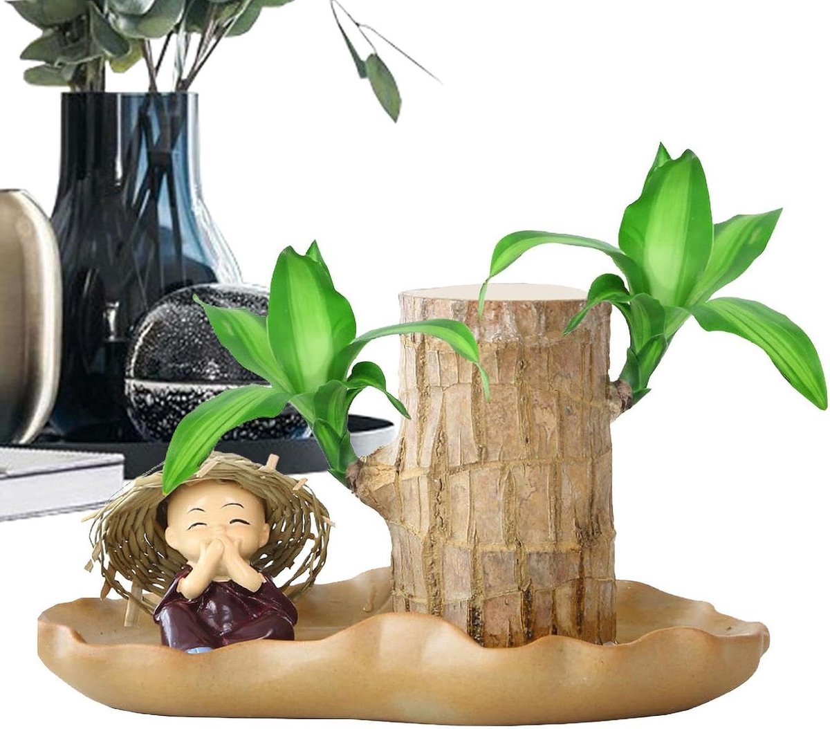 Braziliaans Hout - Hydrocultuur Hout - Decoratie Huis - Luchtzuiverend Decor - 205 x 144 x 1161 cm - Niet gespecificeerd