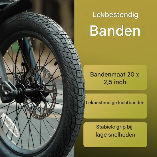 Fafrees Elektrische Driewieler - 20 Inch 48V 21Ah Accu - Dik Klapfiets E-Bakfiets - Elektrische Fiets - Elektrische Vrachtsfiets 180kg - 85km Bereik - Grote groentemanden aan de voor- en achterkant - Koppelsensor - Max 180kg Belasting - Groen van FAFREES — afbeelding 3