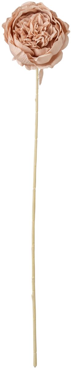 J-Line bloem Koolroos - polyester - lichtroze - 24 stuks