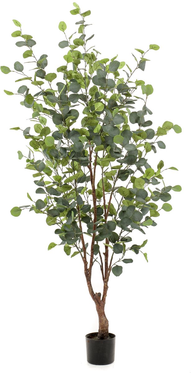 Emerald Kunstboom Eucalyptus 140cm - Kunstplant voor binnen - Eucalyptus plant Groen
