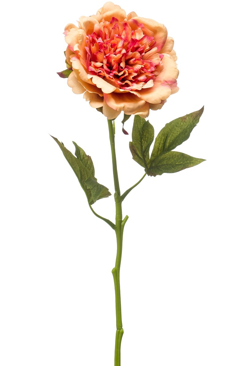 Emerald Kunstbloem Pioenroos RT 56cm oranje - Kunstplant voor binnen