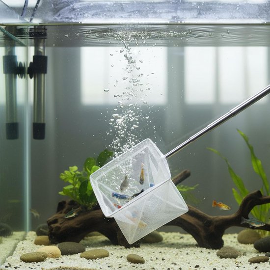Visnet Set - Fijn Zwiknet - Aquarium Onderhoud - Uitschuifbaar Handvat - Set van 2 - Wit — afbeelding 3