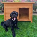 Zwarte hond zit voor een houten hondenhok met groene dakbedekking in de tuin.
