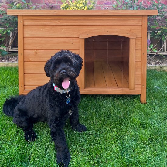 Zwarte hond zit voor een houten hondenhok met groene dakbedekking in de tuin.