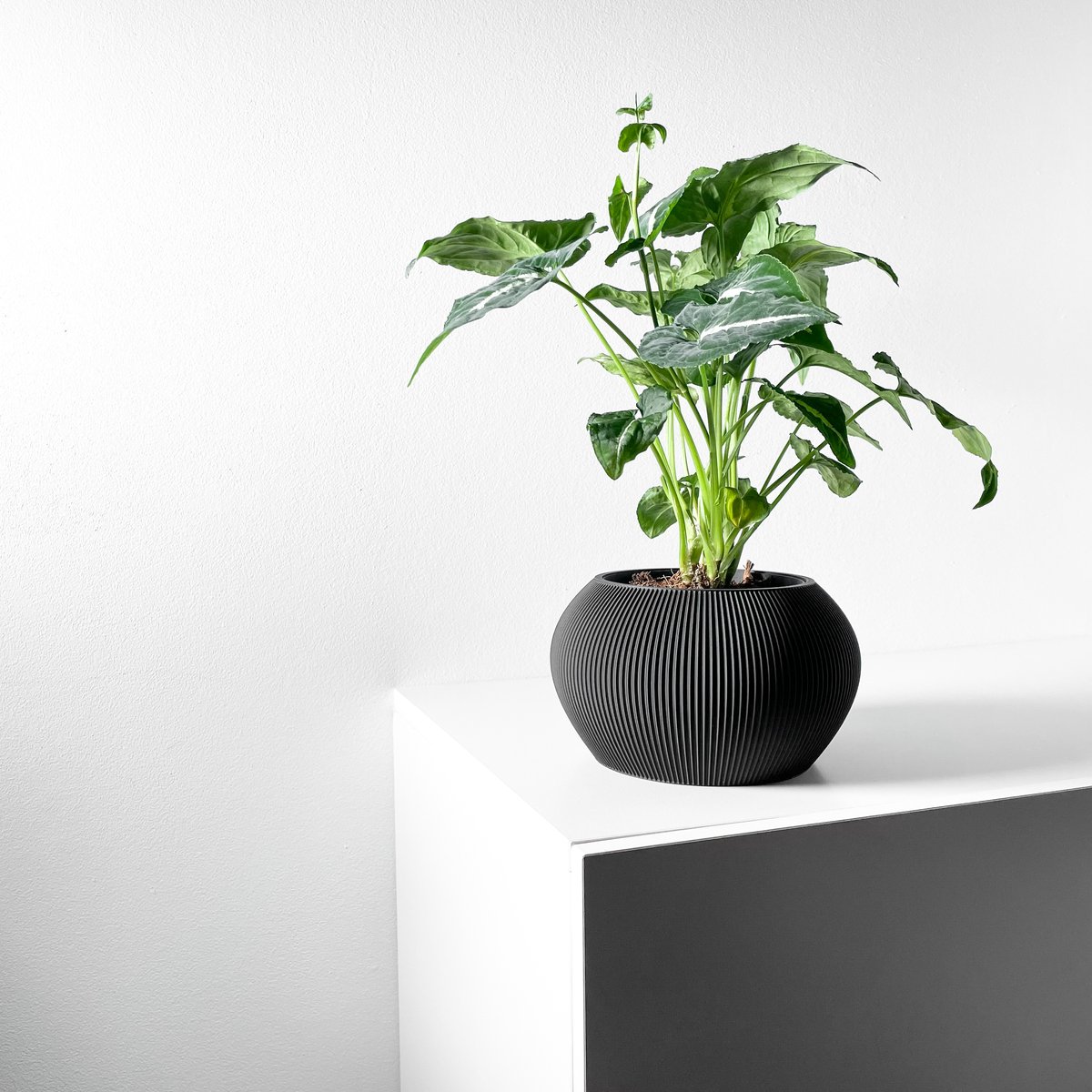 Skushy Melfi Bloempot - Moderne Designpot voor Kamerplanten - Sculpturale Plantenpot voor Woonkamer en Kantoor - Premium Woondecoratie