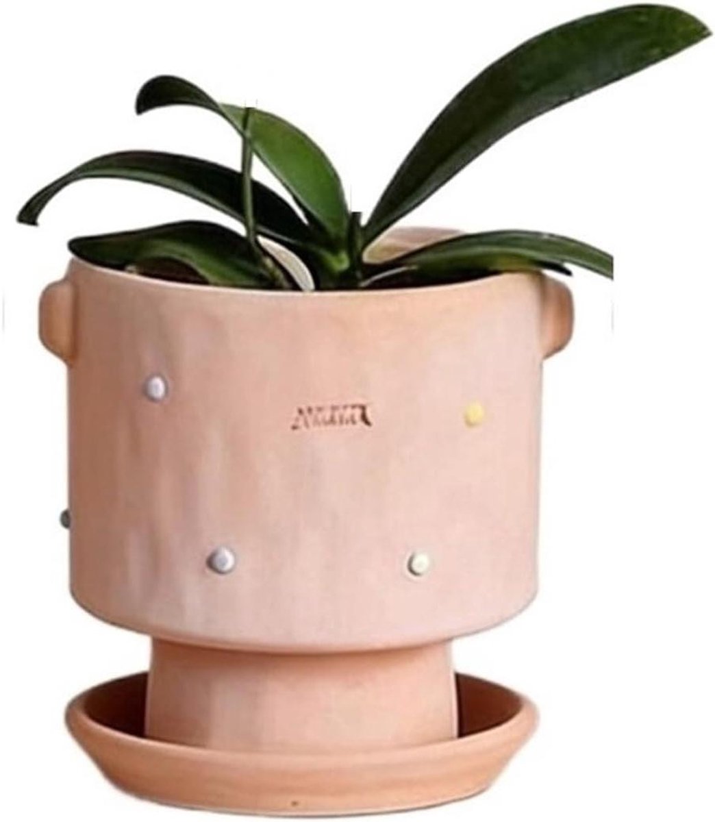 Keramische Pot - Bloempot Handvatten - Binnen Decoratie - Vintage Stijl - Klein - Kleurrijk