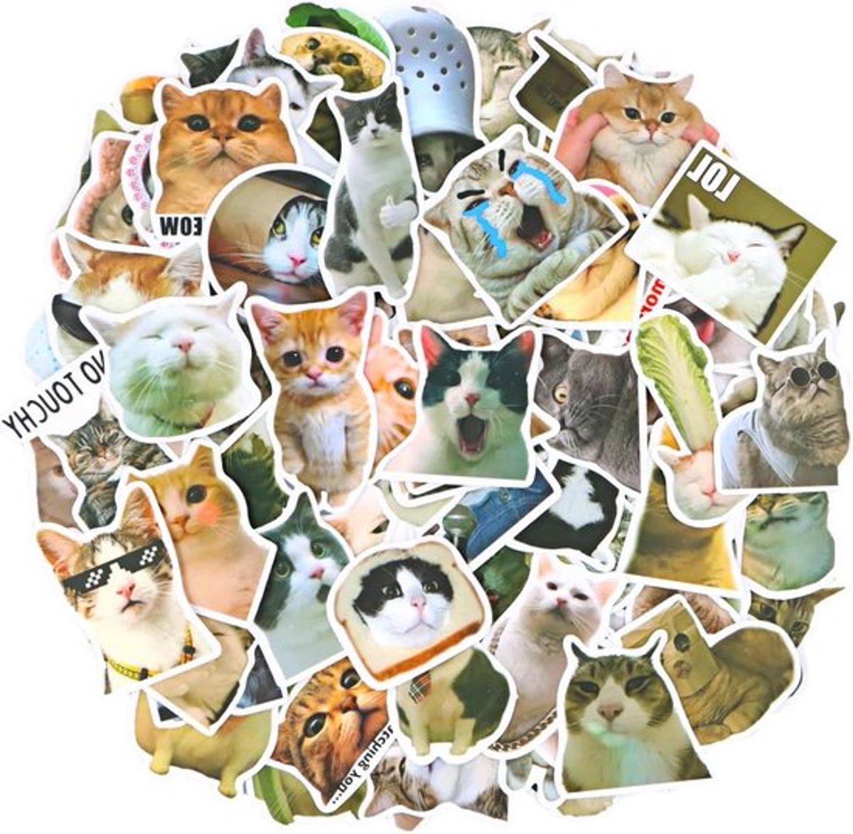 Stickerset met 100 schattige katten emoji - Allecto Plus