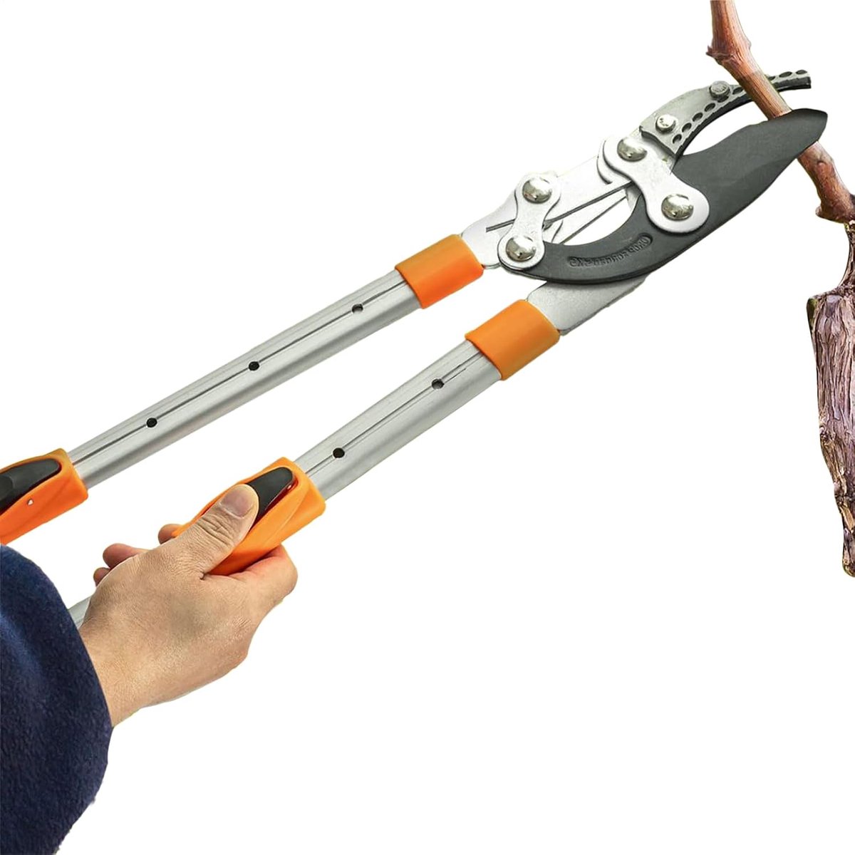 Tuin Snoeischaar - Takkenknipper - Snoeien van Struiken - Uitschuifbare Steel - 68-97 cm - Willekeurig