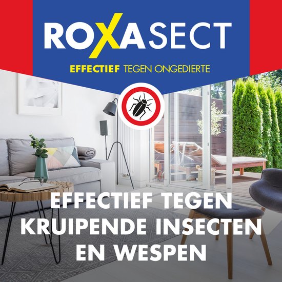 Roxasect Spray tegen Kruipende Insecten en Wespen - Insectenspray - Ongediertebestrijding - Insecten Spray - 400 ml