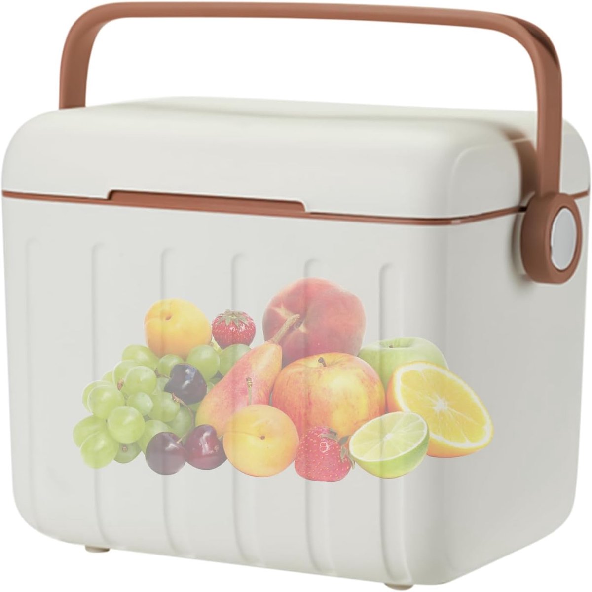 Geïsoleerde Koelbox - Picknicktas Drankjes - Buiten Eten - Dubbellaagse Isolatie - 6 Liter - Wit