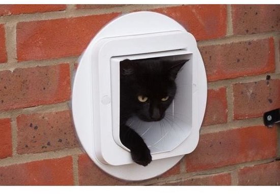 Zwarte kat komt door een wit kattenluik in een bakstenen muur.