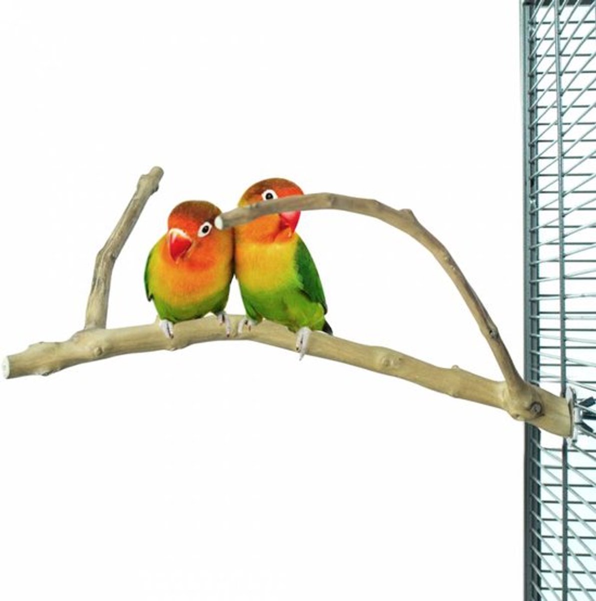 Back Zoo Nature Multi Perch Premium Small