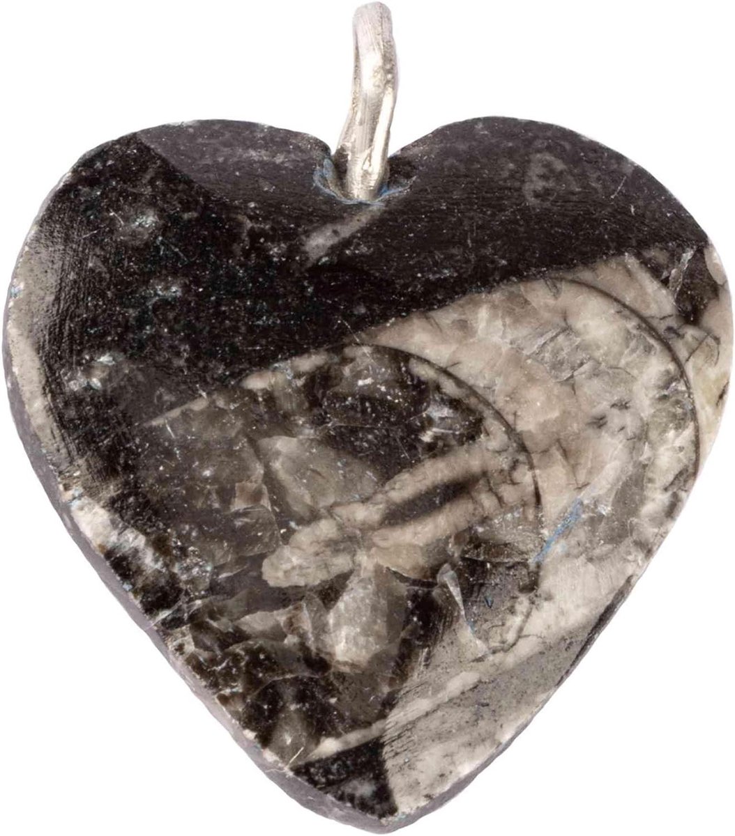 Fossiel Hart Hanger - Orthoceras Steen - Spirituele Decoratie - Handgesneden Uniek - 3.2 cm - Natuurlijk
