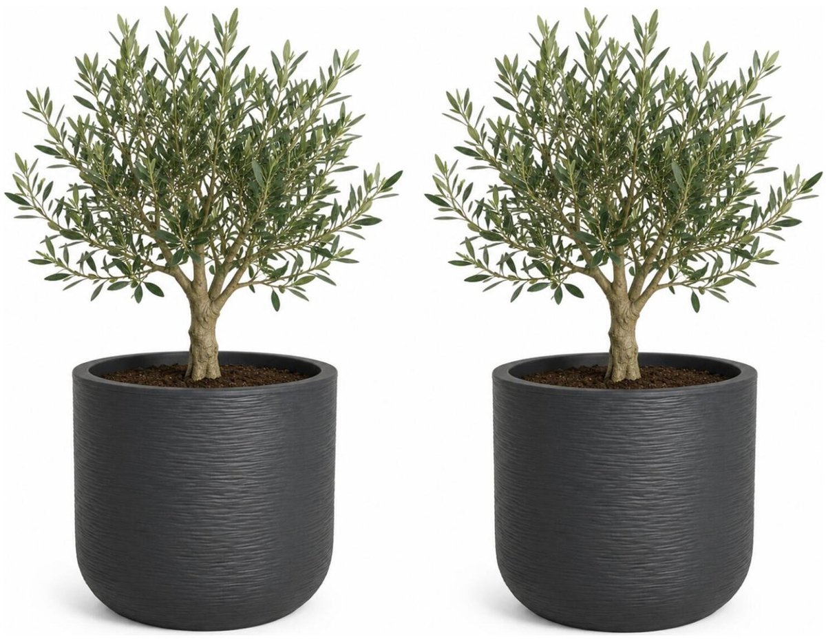 EDA Bloempot / plantenpot Graphit - 2x - rond - kunststof - antraciet - D39 x H37 cm - binnen en buiten
