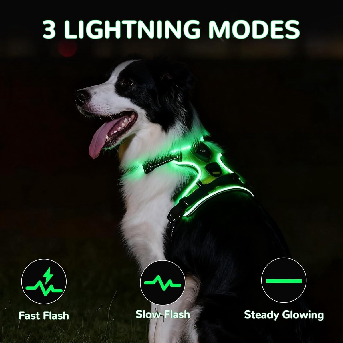 SnelShoppen - Luminous Dog Harness met Handgreep, Reflecterende Strepen, Anti-Pull Harnas voor Kleine en Middelgrote Honden (L), Ademend en Waterdicht